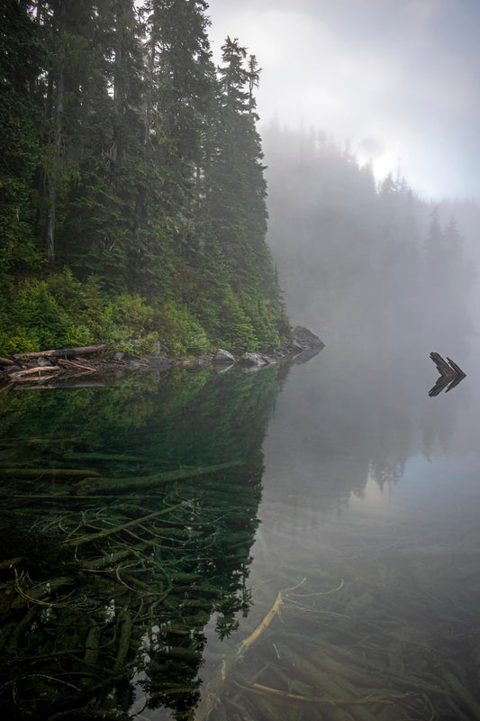 Reflecting on Washington