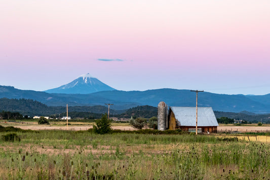 Roadside Views