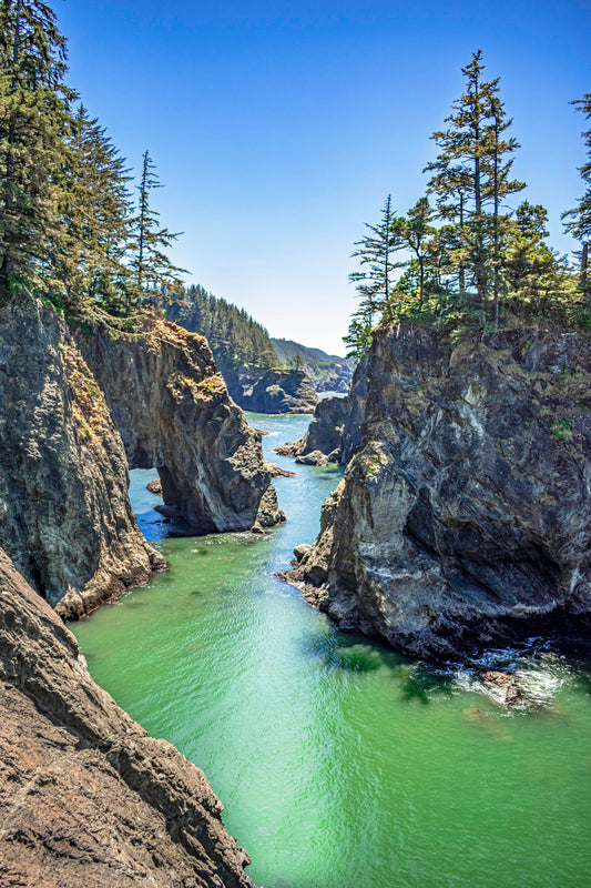 Rocky Shores