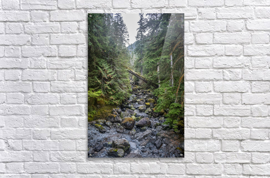 Acrylic Print