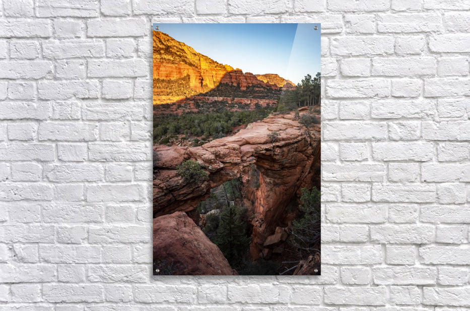 Acrylic Print