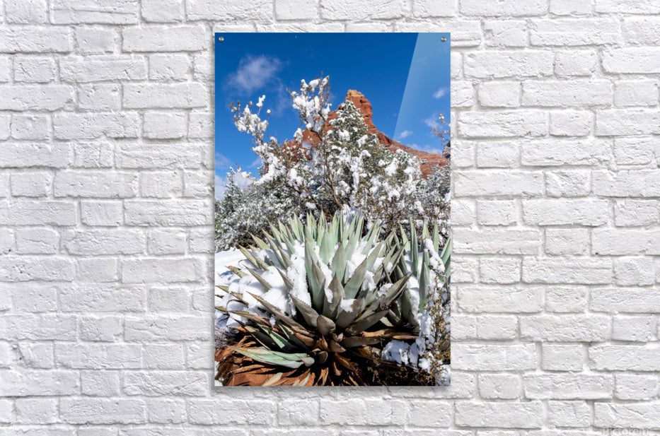 Acrylic Print