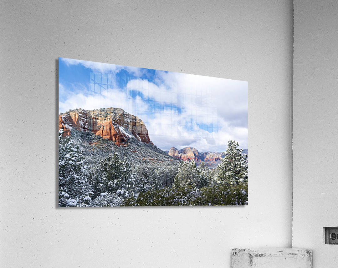 Acrylic Print