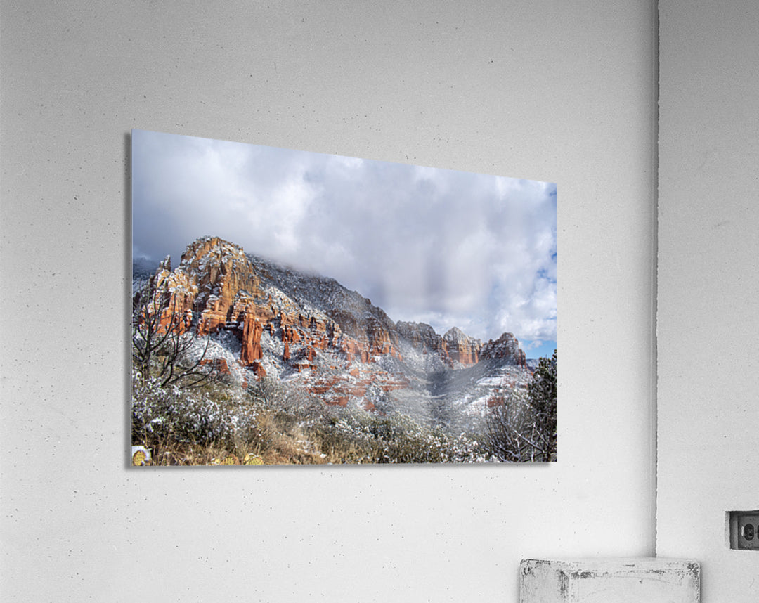 Acrylic Print