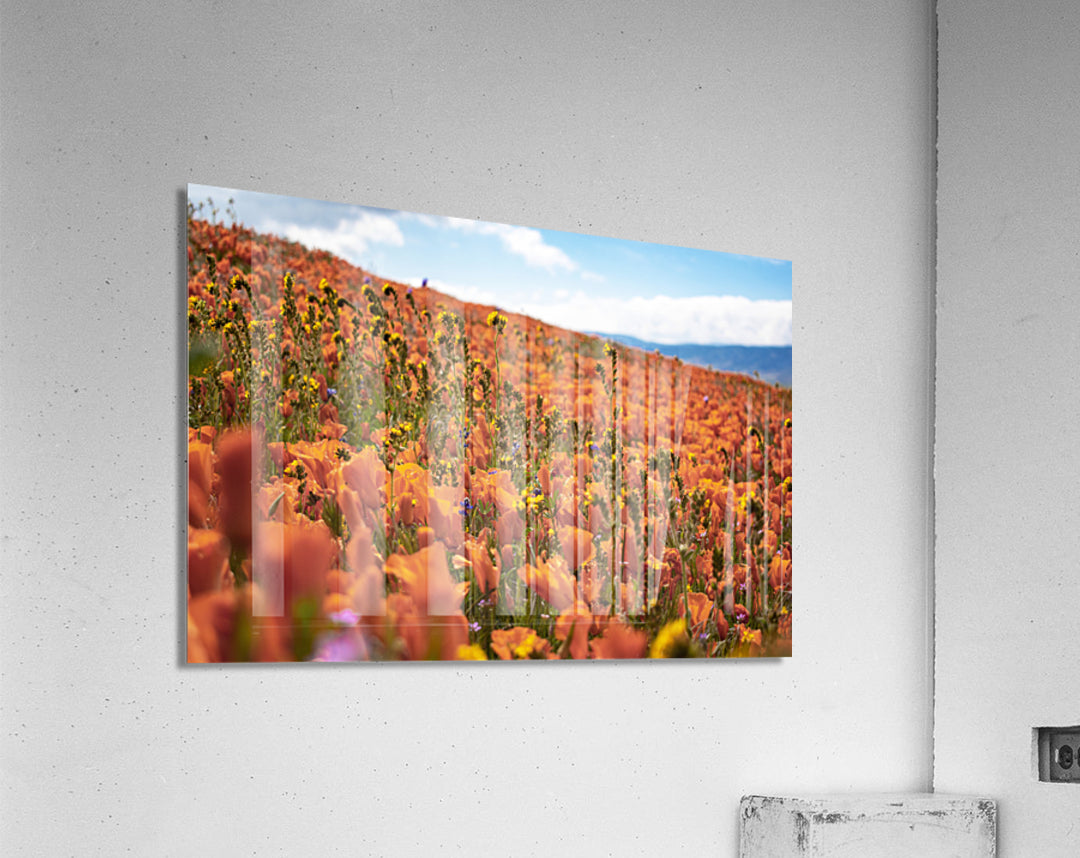 Acrylic Print