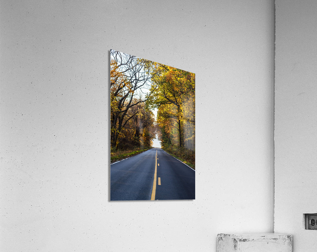 Acrylic Print