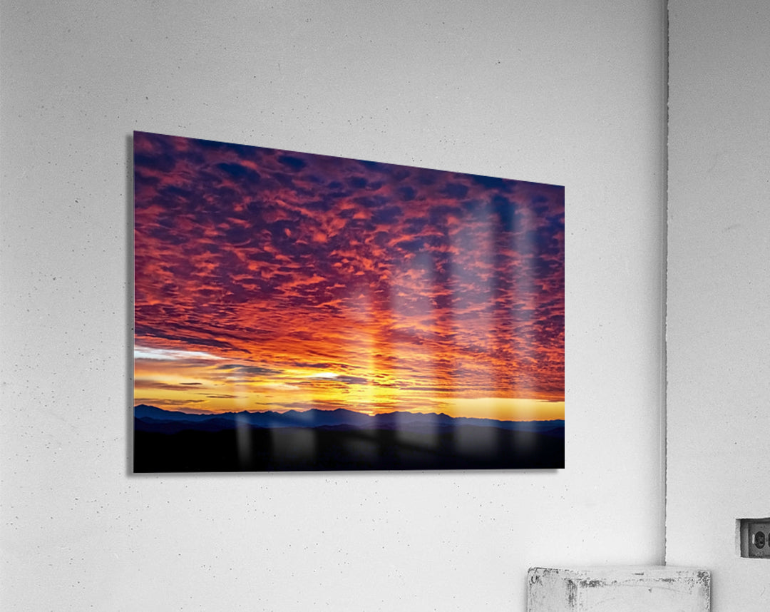 Acrylic Print