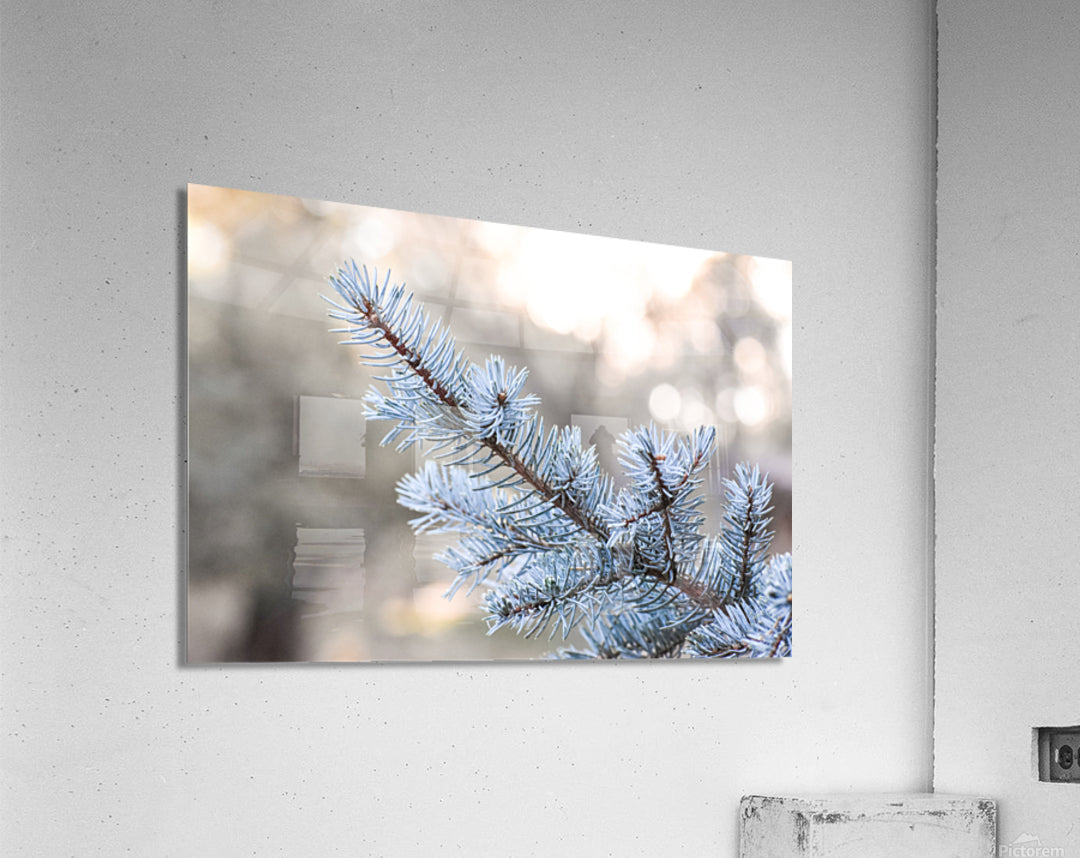 Acrylic Print