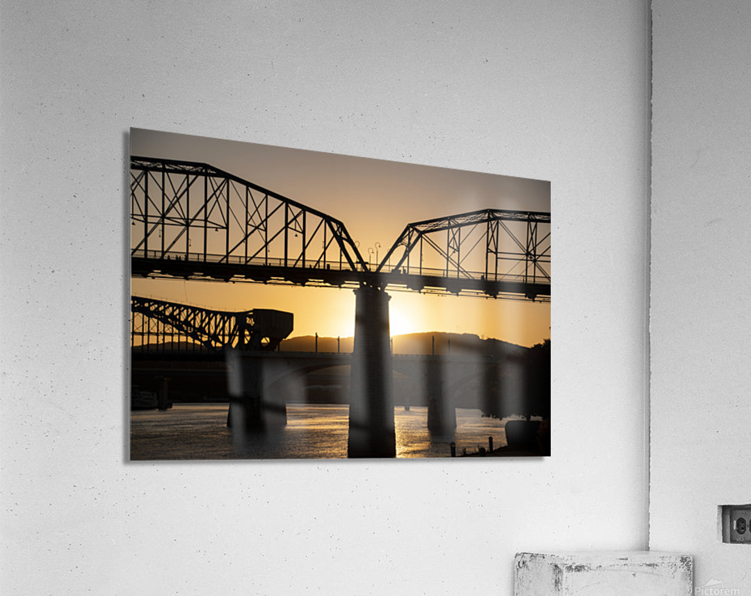 Acrylic Print