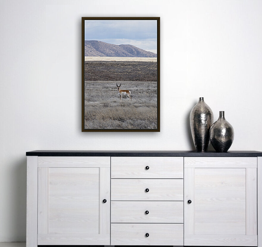 Giclée Stretched Canvas Print