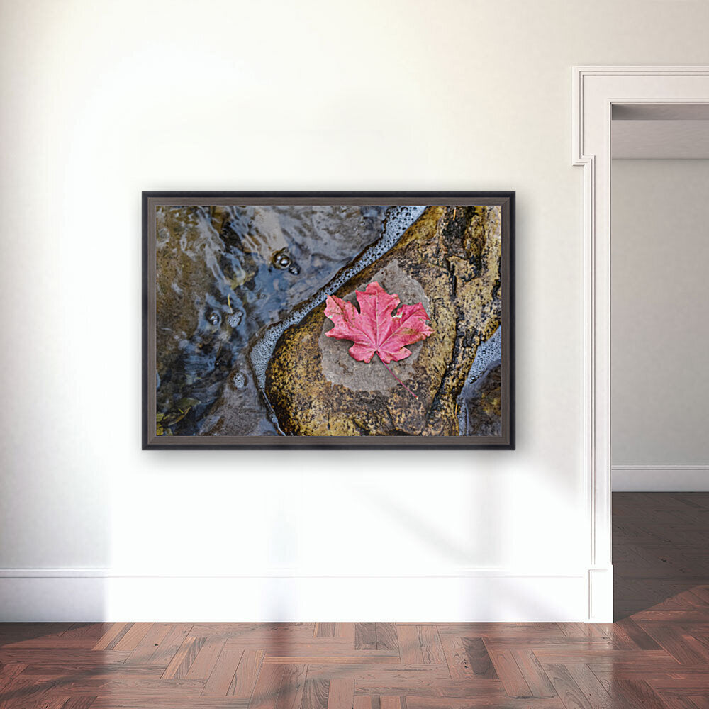 Giclée Stretched Canvas Print