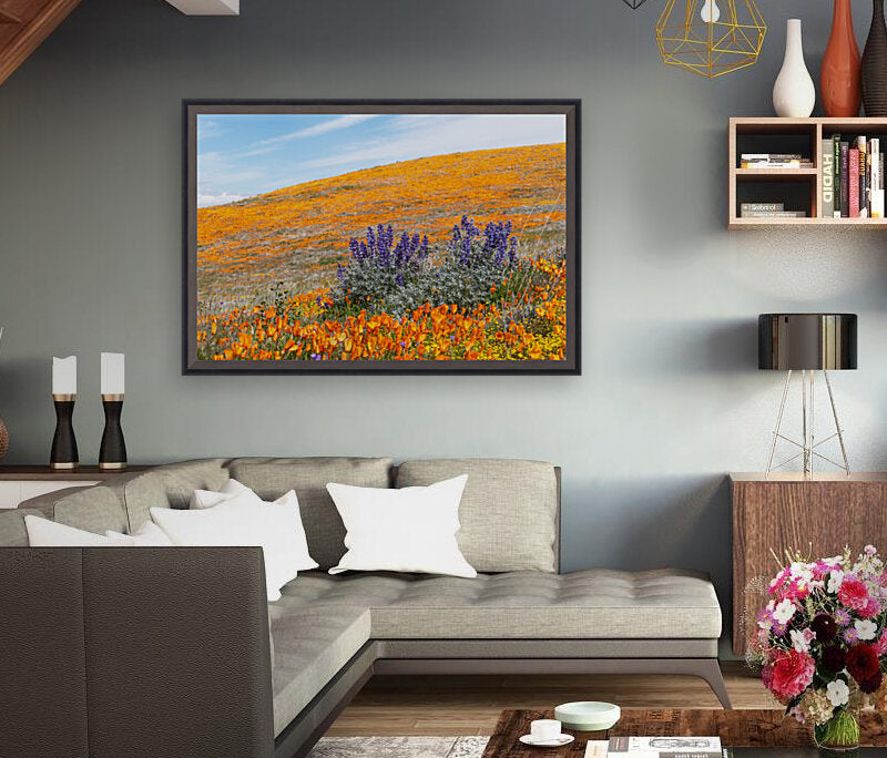 Giclée Stretched Canvas Print