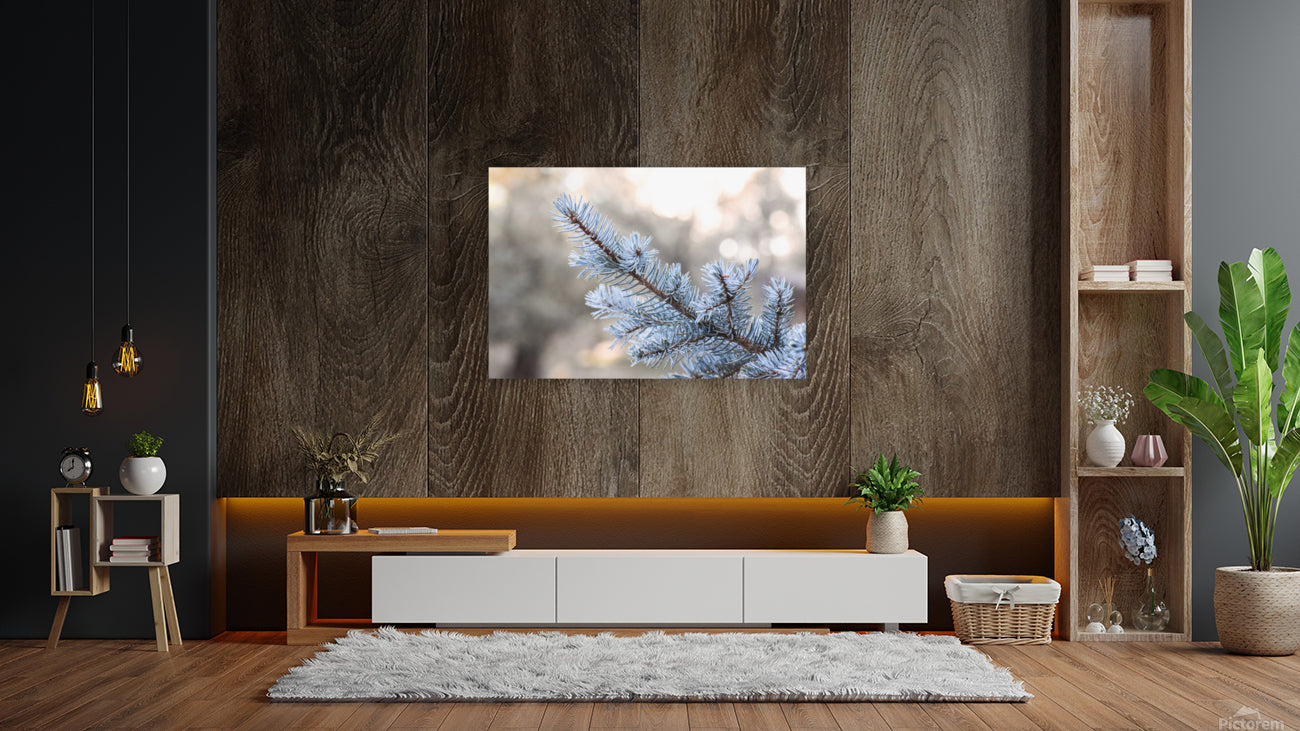 Giclée Stretched Canvas Print