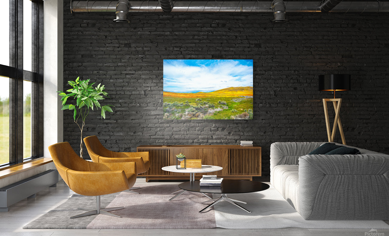 Giclée Stretched Canvas Print