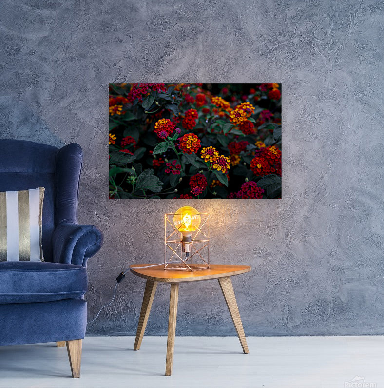 Giclée Stretched Canvas Print