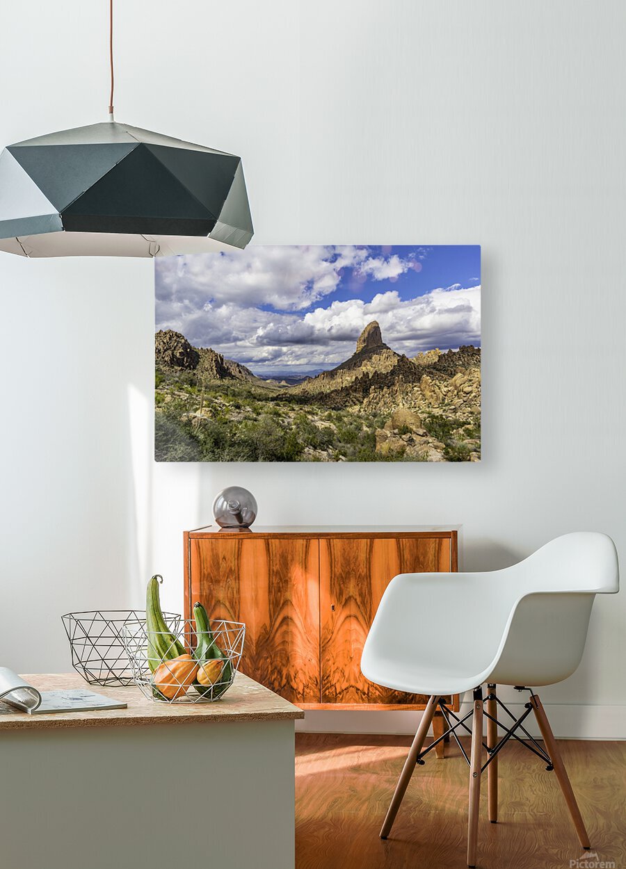 HD Sublimation Metal Print