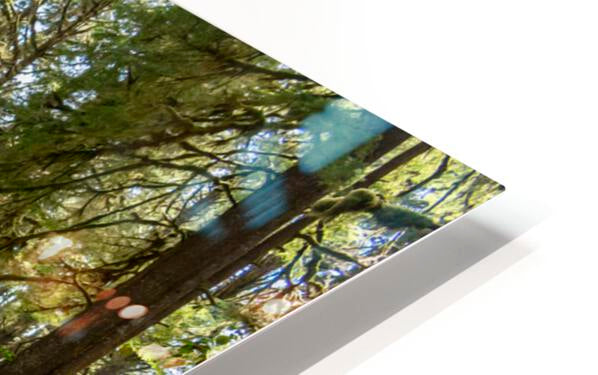 HD Sublimation Metal Print