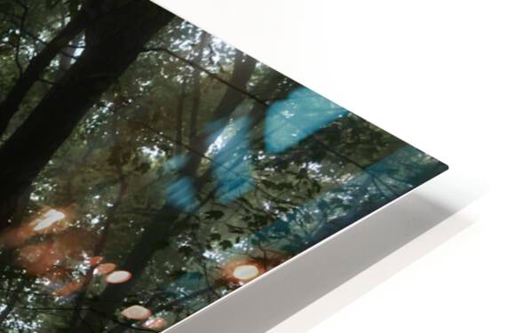 HD Sublimation Metal Print